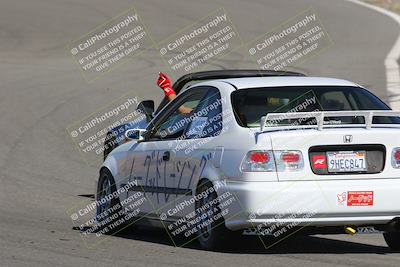 media/Nov-03-2023-Club Racer Events (Fri) [[fd9eff64e3]]/Green/Back Shots/